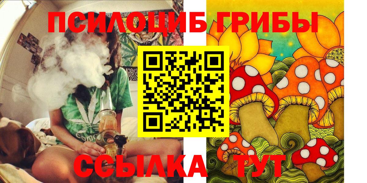 Псилоцибиновые грибы MAGIC MUSHROOMS Юрга