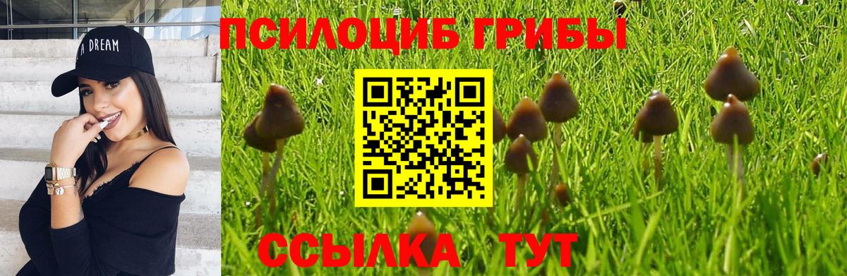 Псилоцибиновые грибы GOLDEN TEACHER  где купить наркотик  Юрга  Вход с VPN 